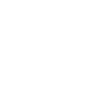 Icon-image