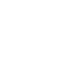 Icon-image